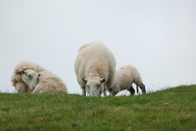 [콜키지 뜻] 콜키지프리 뜻&amp;#44; 와인콜키지 뜻&amp;#44; 페어링 뜻&amp;#44; 와인 페어링이란? 블루투스 페어링이란?