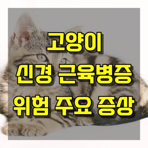 고양이 신경 근육병증 위험한 주요 증상