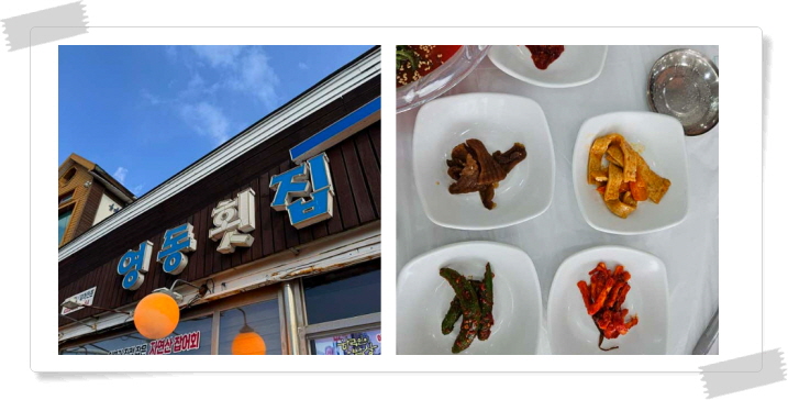 전현무계획2 강릉 짬뽕물회 자연산모둠회 후기