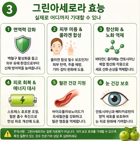 그린아세로라-효능-섭취방법-천연비타민c-효과