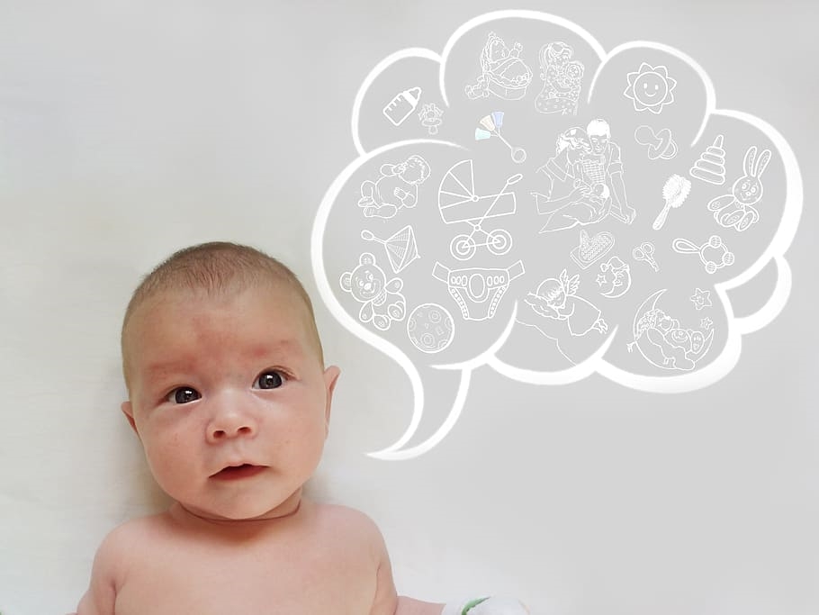 2022년 출생신고 생각하는아기