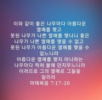 마태복음 7장 해석 읽기 비판하지 말라_17