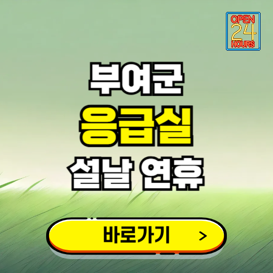 부여군 설날 연휴 비상진료 응급실 병원 찾기 ❘ 내근처 24시 야간 심야 휴일 가능한 곳