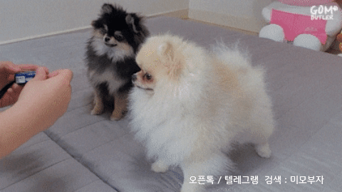 10월 5일 목 경제뉴스 부동산뉴스 신문스크랩