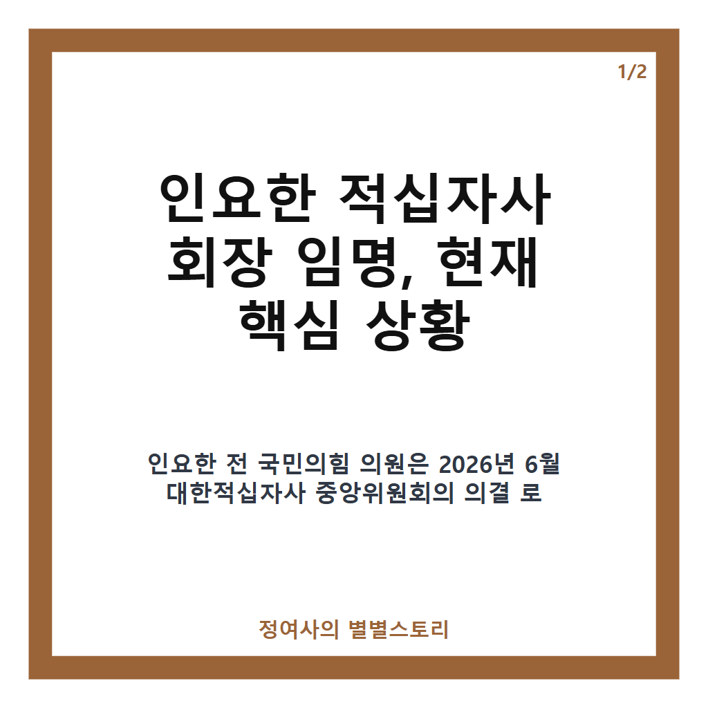 인요한 적십자사 회장 임명 논란과 공직자윤리위 결정 보류 소식 카드뉴스 1