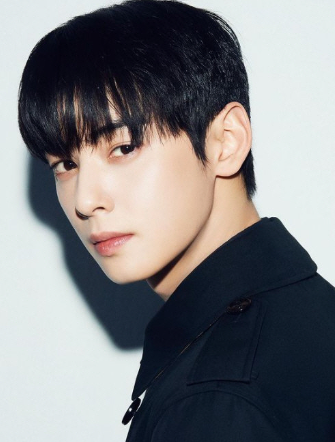 가수 겸 배우 - 차은우