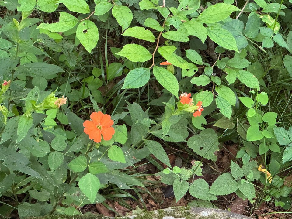 2026 수능 일정표