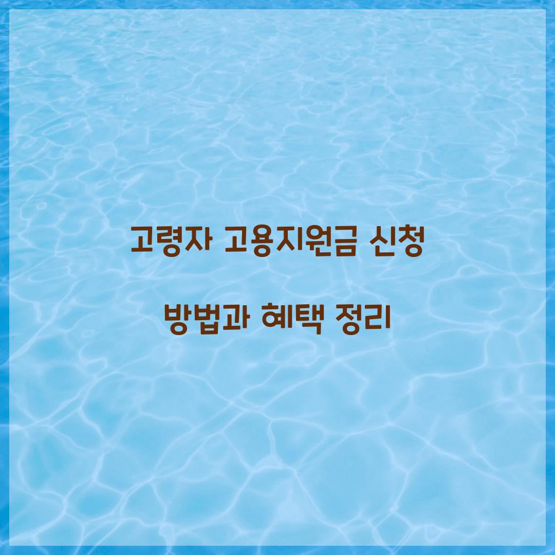 고령자 고용지원금