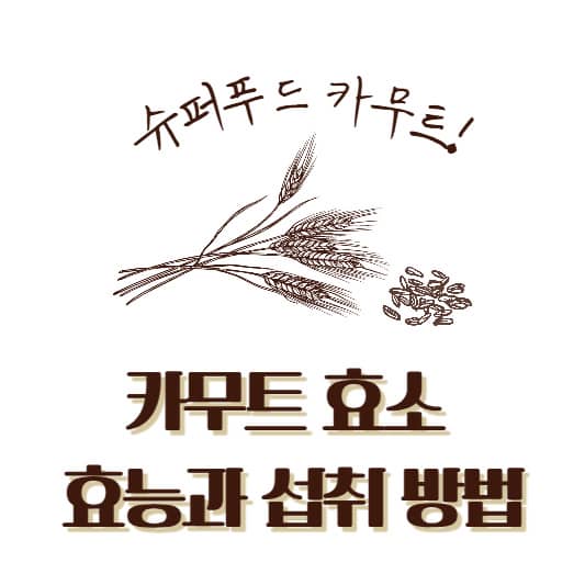 카무트 효소 효능과 섭취 방법