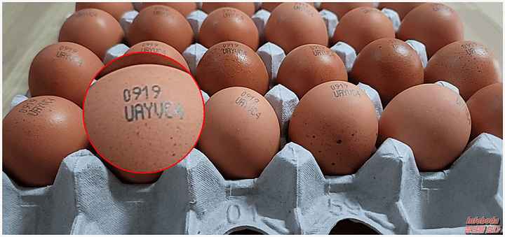 계란에 표기된 산란 일자