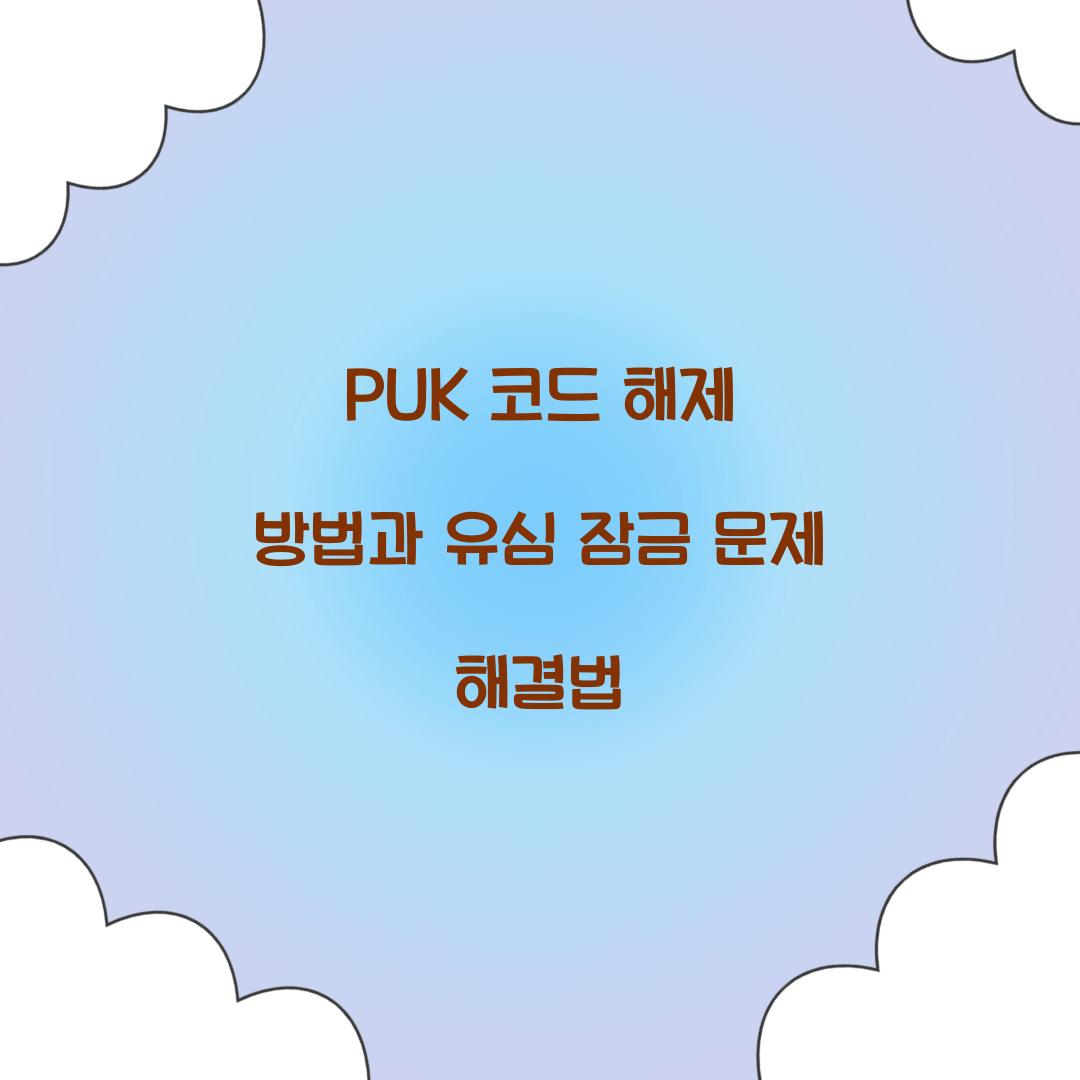 PUK 코드 해제 방법