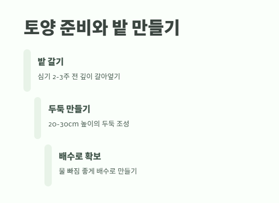 고구마 심는 시기 알아보기 8