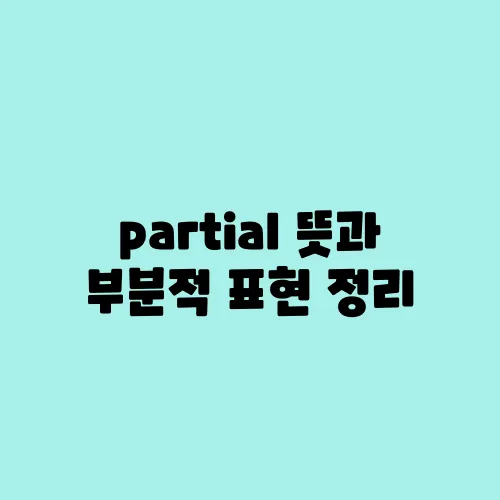 partial 뜻과 부분적 표현 정리