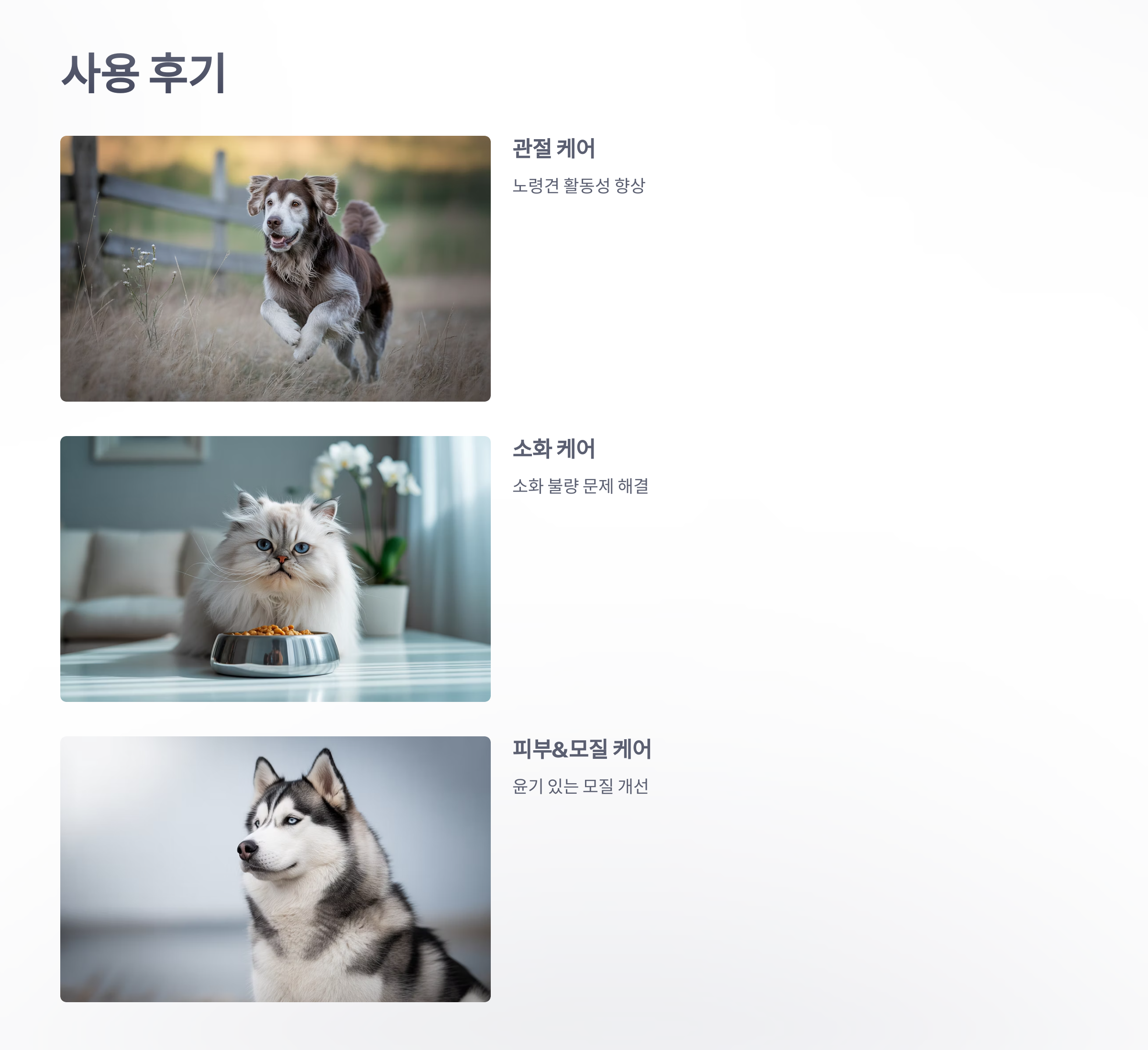 '닥터-헤리엇'-반려동물-전용-보조제-5