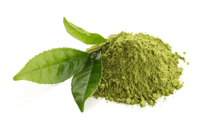 L-테아닌-분말-가루-사진