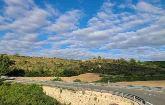 2025년 제주도 장마기간