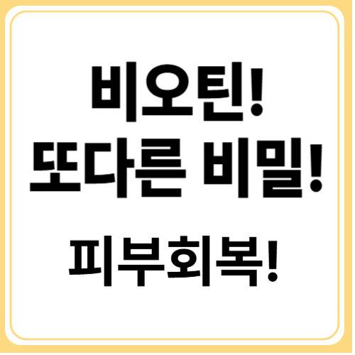 비오틴이 피부가 누리는 놀라운 효과 3가지