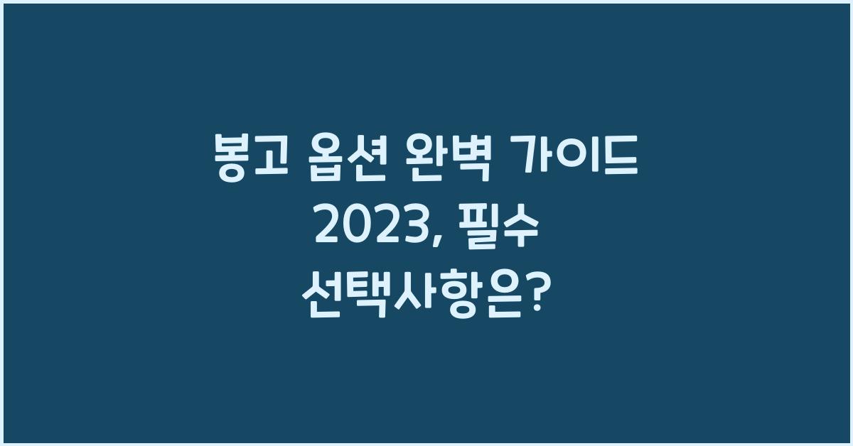 봉고 옵션