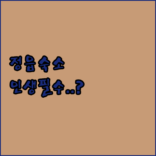 전북 정읍 여행 숙소 베스트 5 위치..