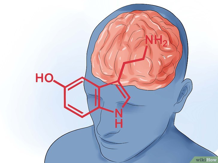 가르시니아 부작용
