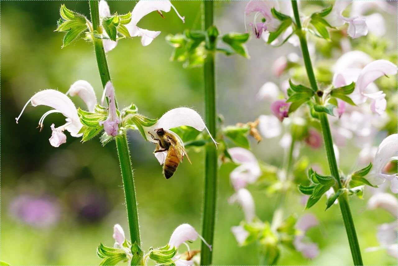 은행 적금 이자 높은곳