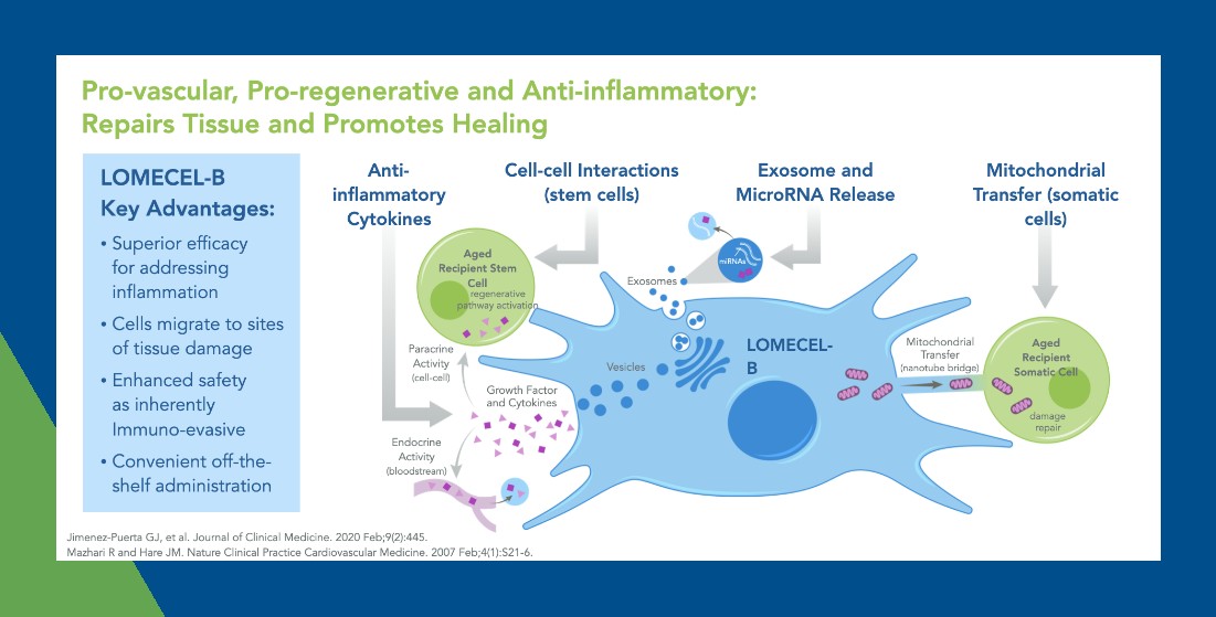 ๋กฑ์๋ฒ๋ก (LGVN), ์์ธ ํ์ด๋จธ FDA ํจ์คํธํธ๋&RMAT ์ง์ ํด๋ฆฌ์ด๋ง์ธ๋ ์์ 2A์ ์ ํจ์ฑ