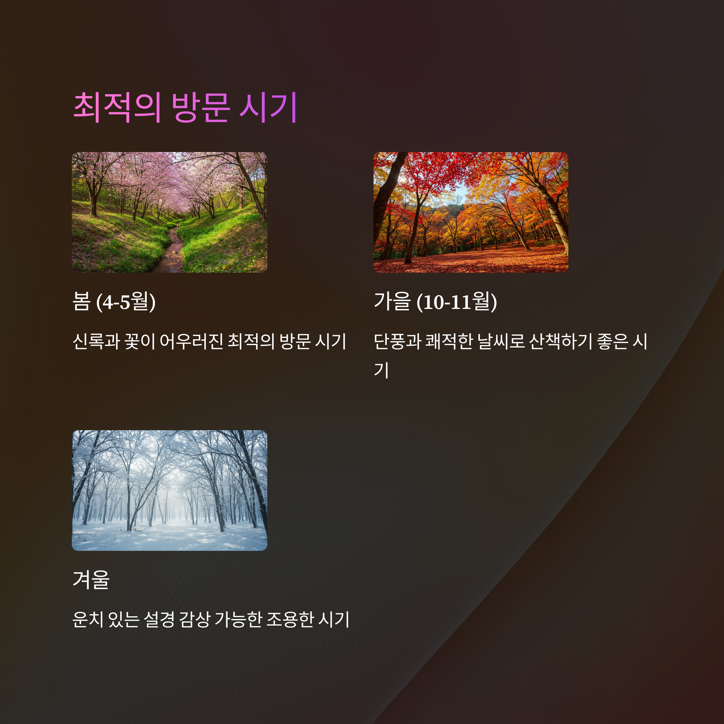 거제 치유의 숲 가족