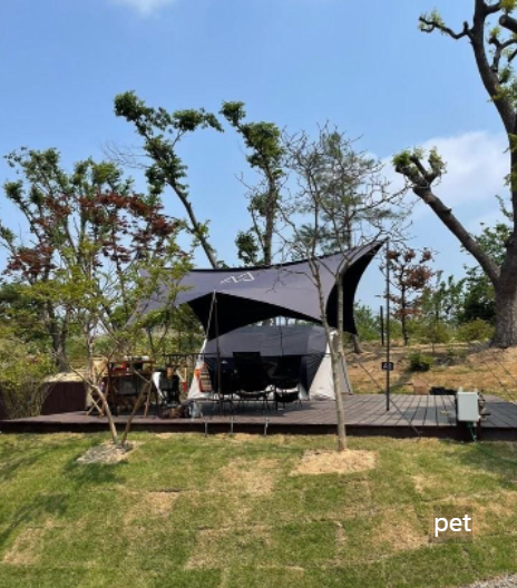 경기-하남-따봄캠핑장-예약-방법-애견-동반-가격-주소-시간-후기