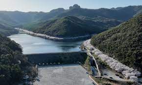  제6회 개암동 벚꽃축제란?