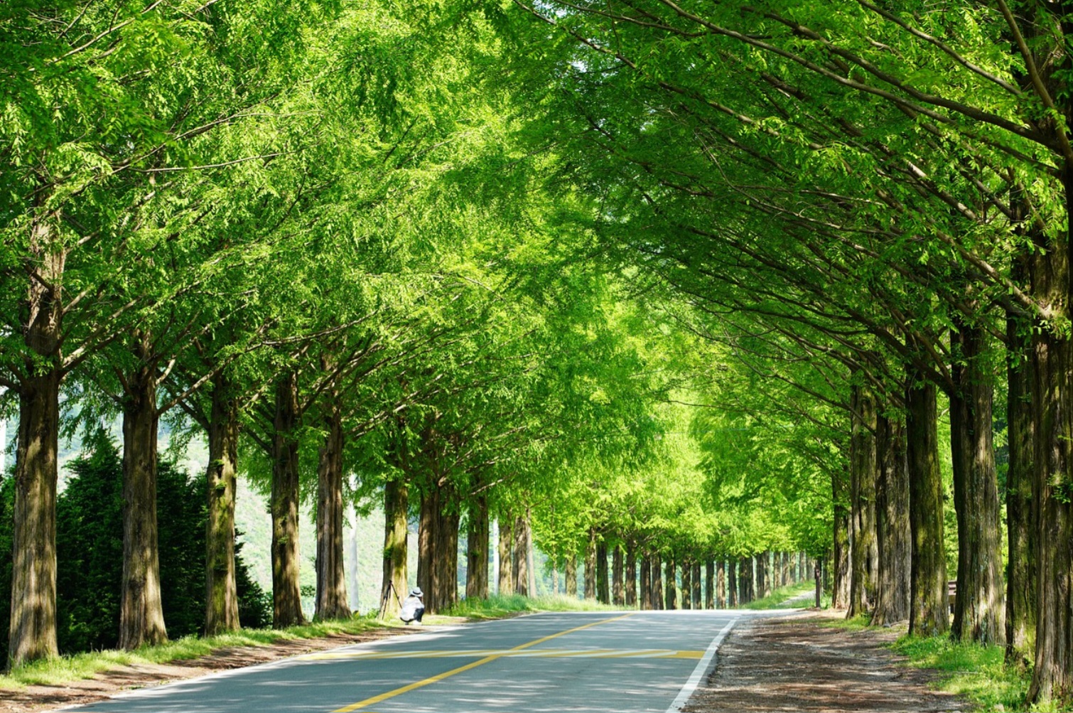 숨겨진 자연의 보물: 한적한 소도시의 절경과 힐링 스팟