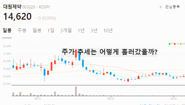 위고비 관련주 대장주 테마주 수혜주 TOP7