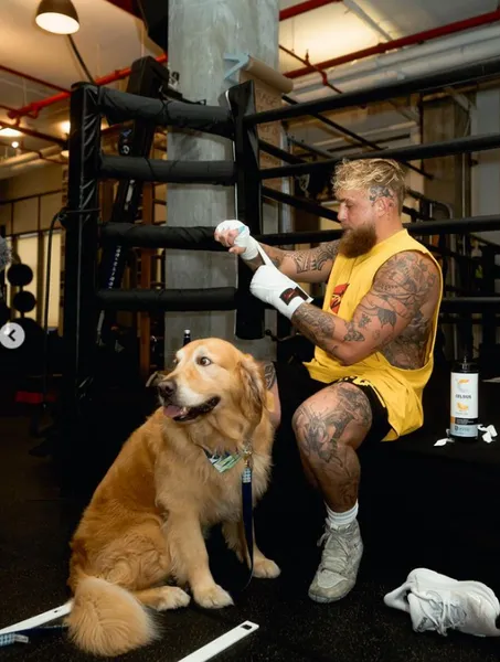 타이슨 제이크폴