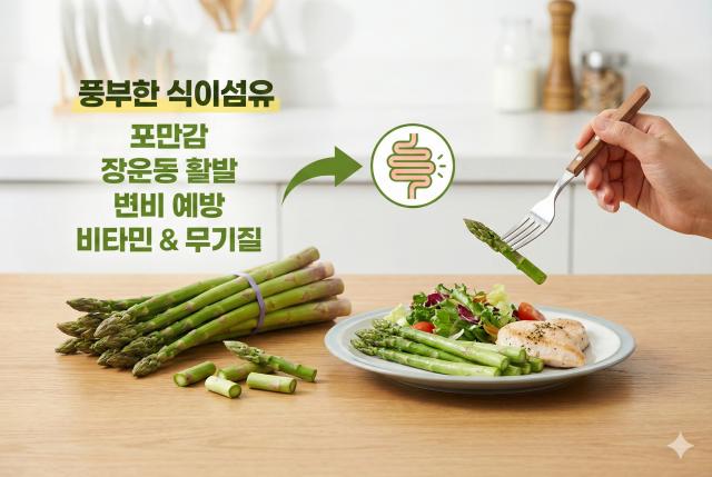 아스파라거스 효능 다이어트 변비