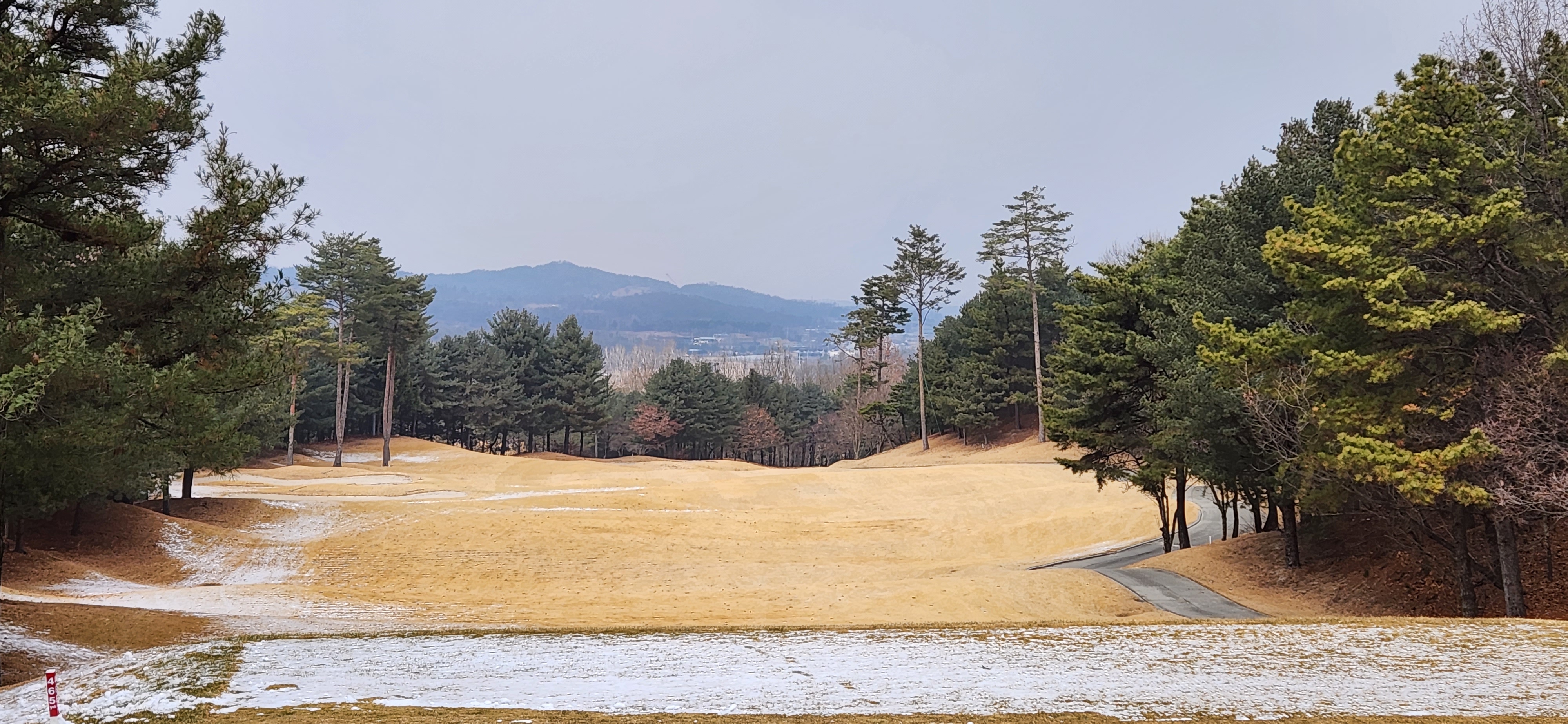 솔모로cc