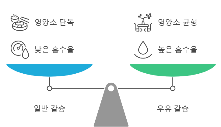 일반칼슘 우유칼슘 비교