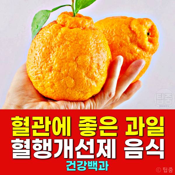 혈관에 좋은 과일 혈행개선제 음식 추천