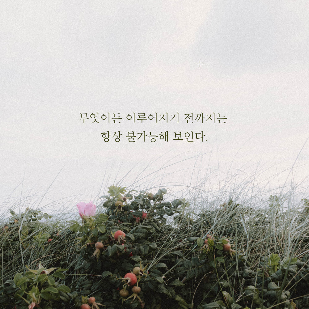 짧고 좋은 글귀 모음 인생 명언 이미지