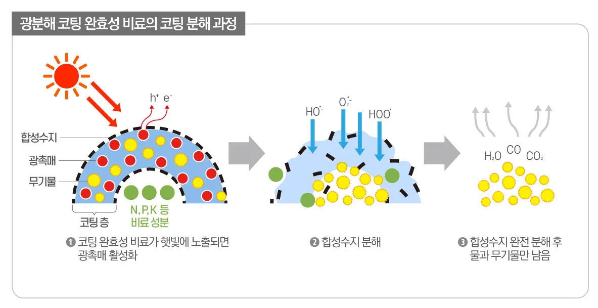 완효성비료 사용법 적정량 조절 과다피해예방 초보가 알아둘 점_6