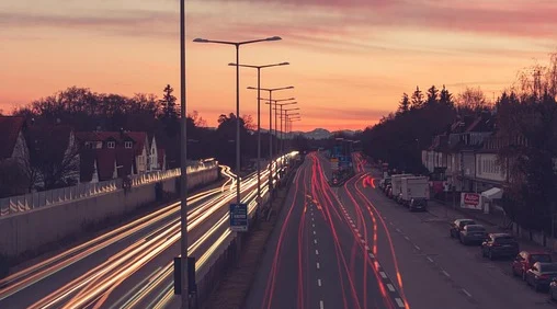 반려동물 행동교정사 자격증