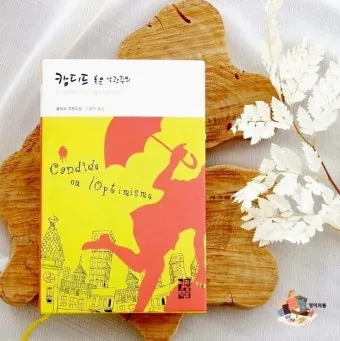 볼테르 캉디드 풍자 소설의 사회 비판과 철학적 메시지_25