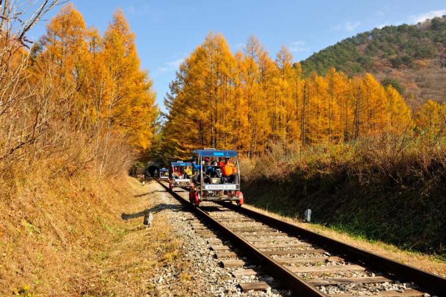 정선 레일바이크 - 출처 정선군청