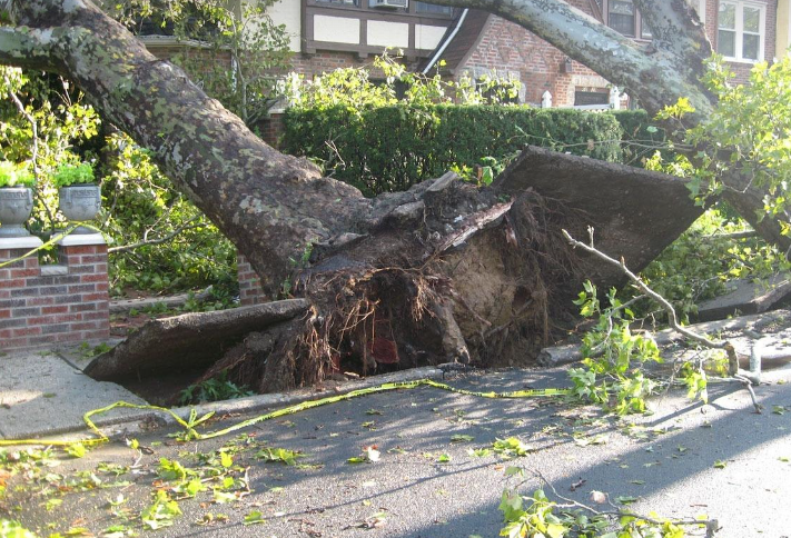 토목공학과 자연재해 대응: 안전한 인프라로 재해를 극복하다