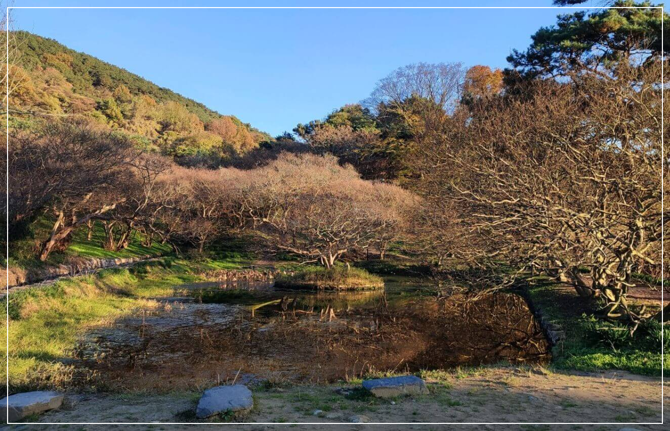 담양 가볼만한곳 베스트10 명옥헌 원림