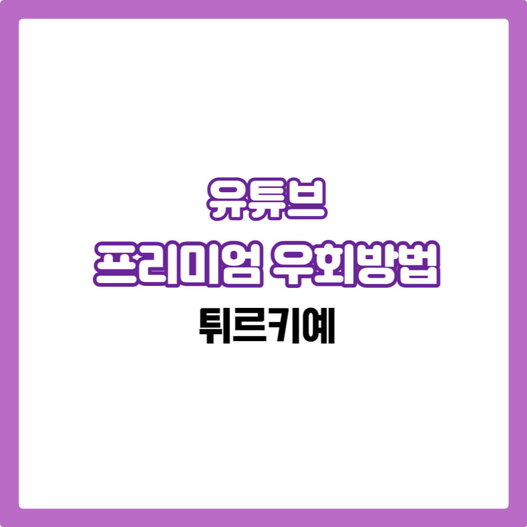 유튜브 터키 우회