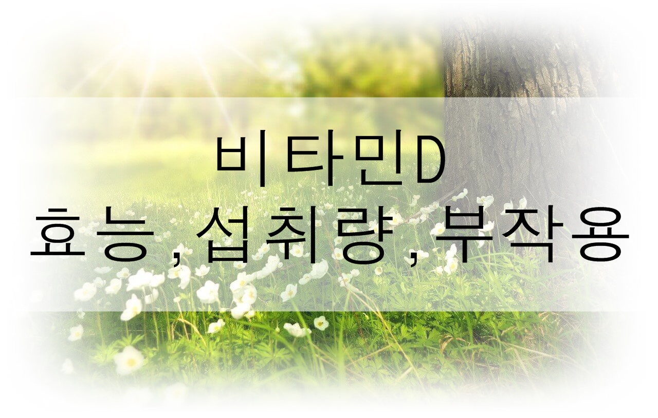 비타민D의 효능, 섭취량, 음식, 부작용을 알아보자!