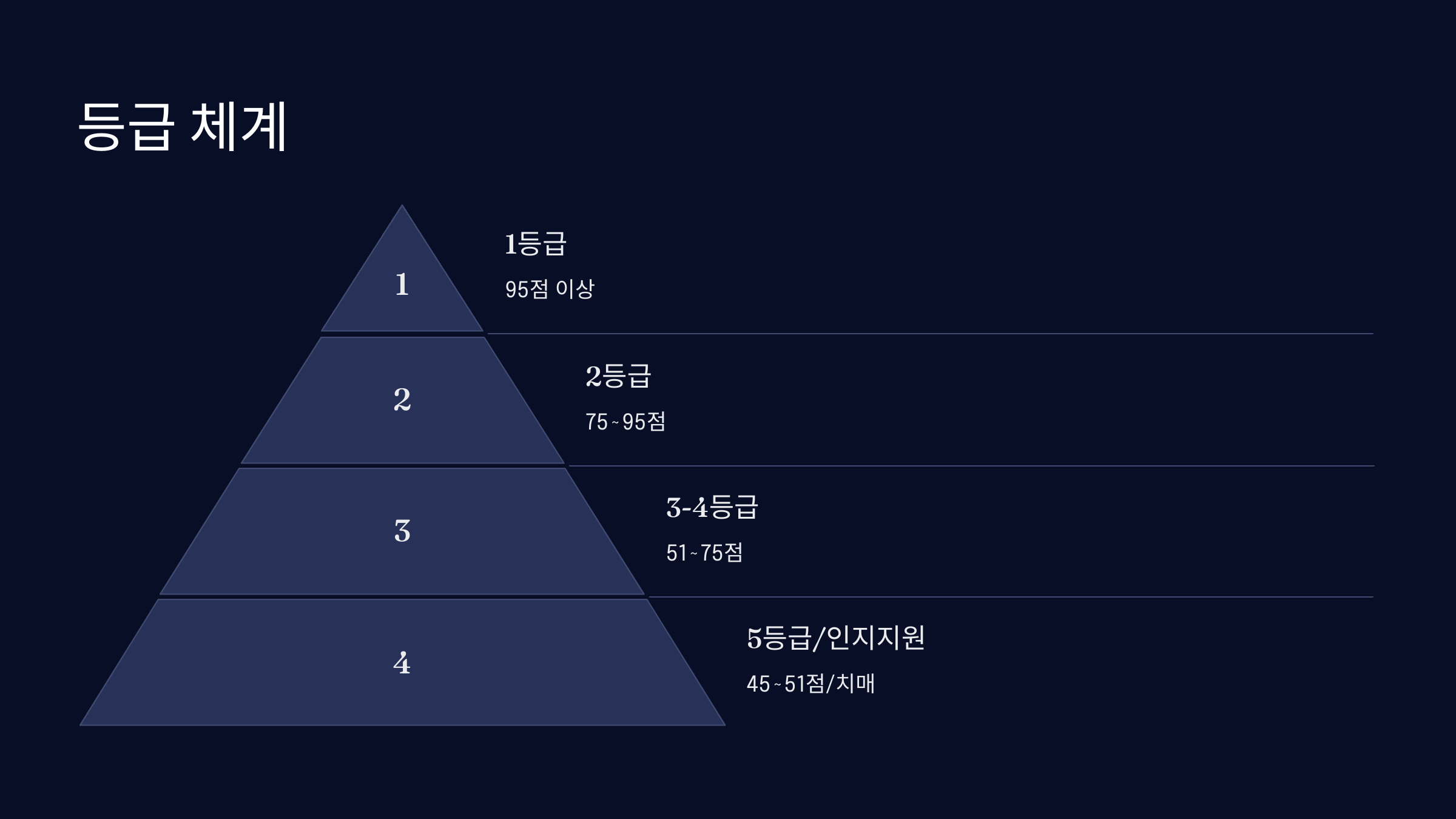 등급 체계