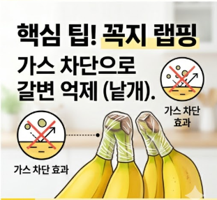 바나나 보관법