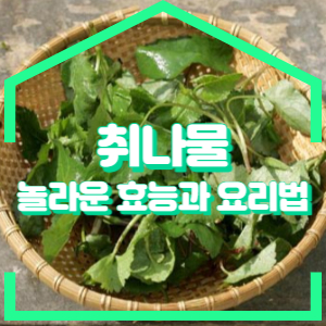 취나물