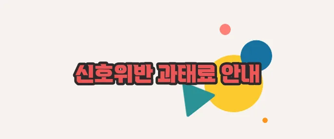 신호위반 과태료 자세하고 정확하게 설명드릴게요