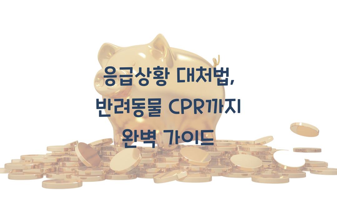 응급상황 대처법, 반려동물 CPR까지 알려드립니다
